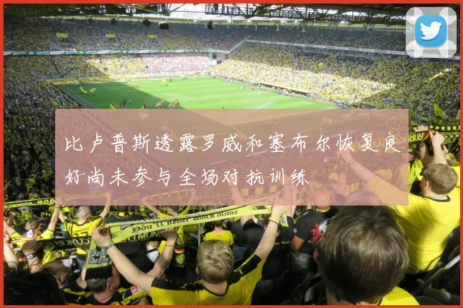 比卢普斯透露罗威和塞布尔恢复良好尚未参与全场对抗训练