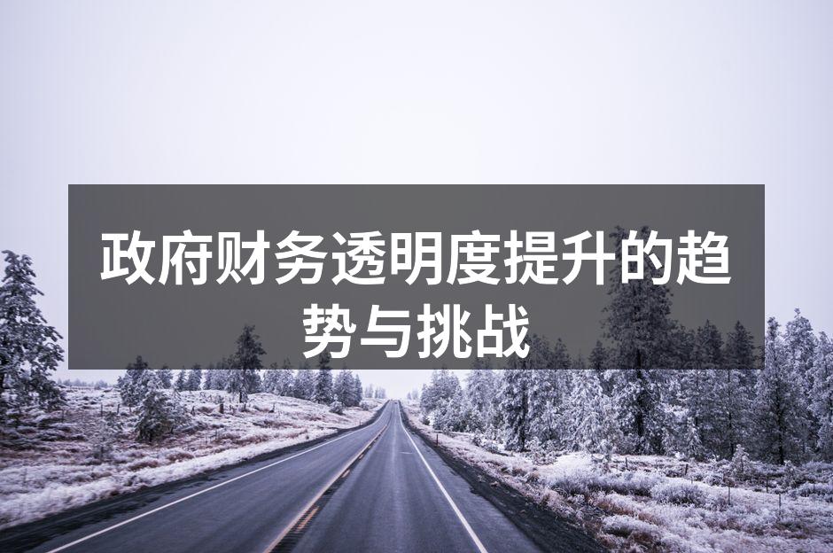 政府财务透明度提升的实施现场